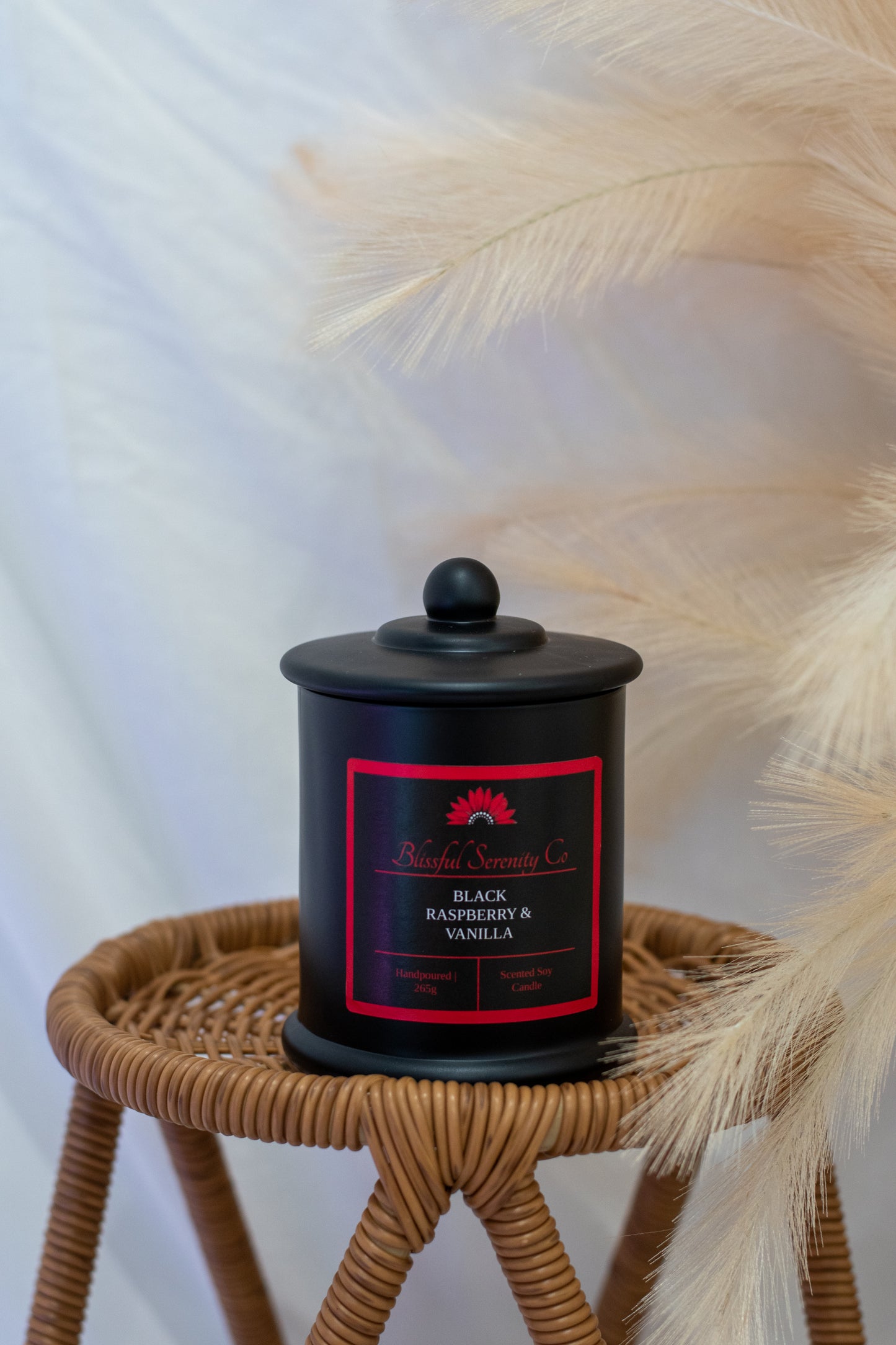 Black Raspberry & Vanilla Candle